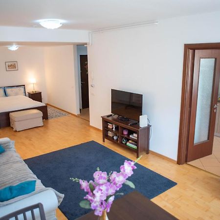 Blue Forest Studio Sinaia Extérieur photo