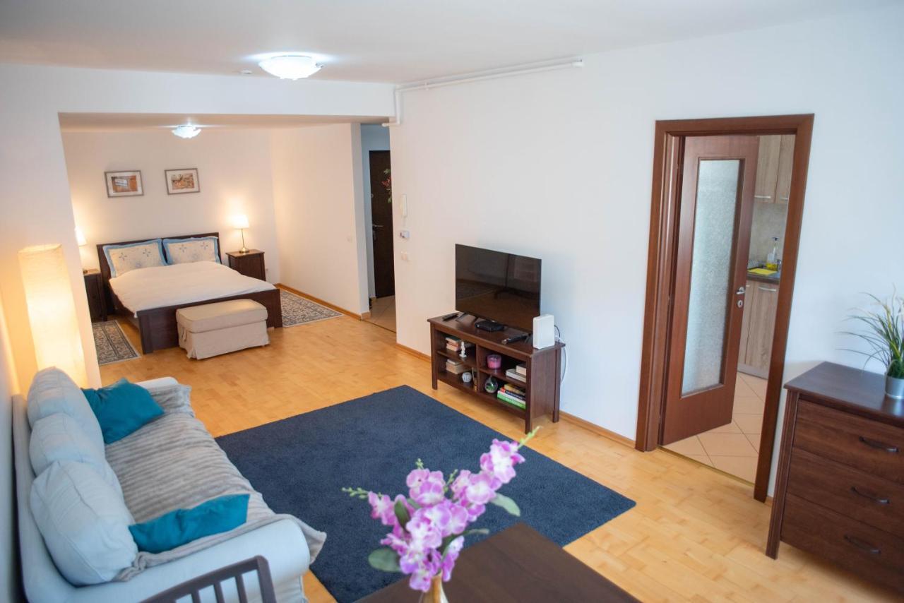 Blue Forest Studio Sinaia Extérieur photo