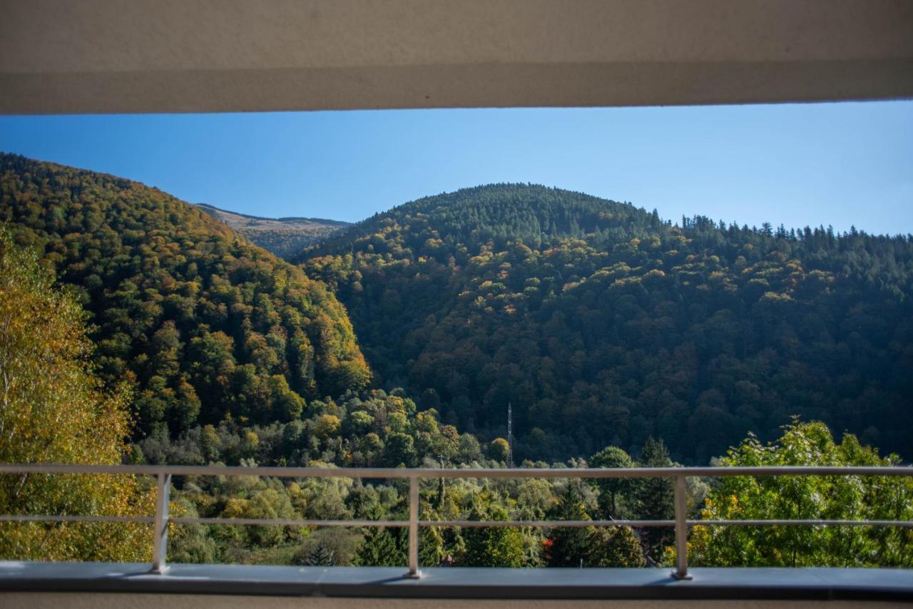 Blue Forest Studio Sinaia Extérieur photo