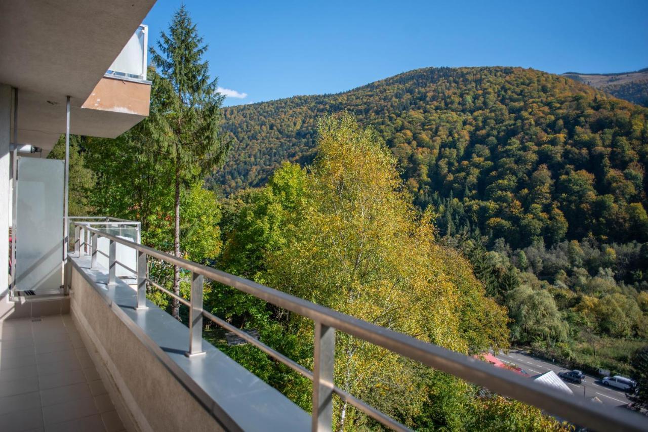 Blue Forest Studio Sinaia Extérieur photo